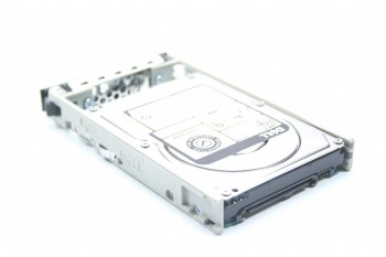 DELL Poweredge PowerVault 300GB 10k 12Gb HDD Festplatte FF02R