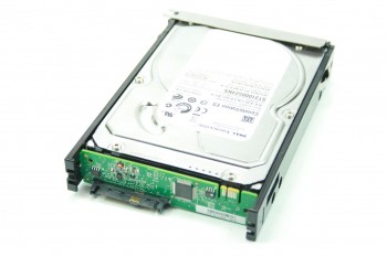  3,5" DELL EQUALLOGIC 1TB 7,2K SATA HDD Festplatte 9JW154-536